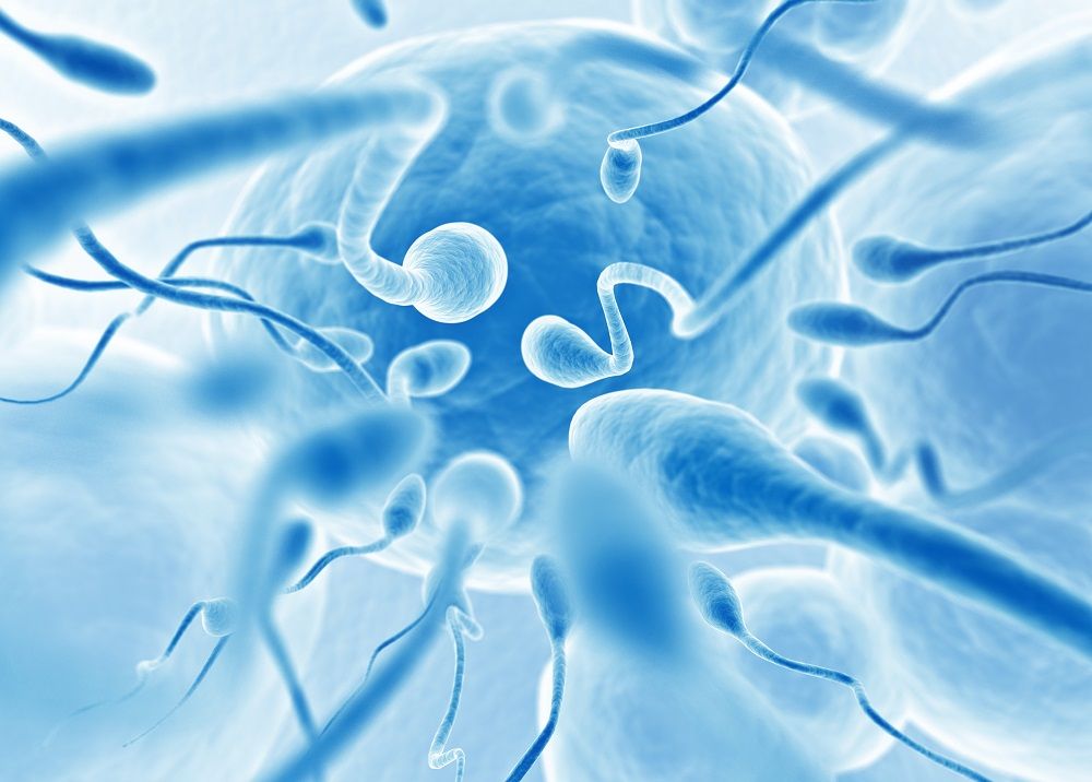 активное движение сперматозоидов