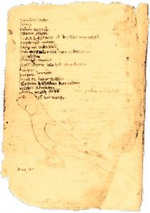 Кодекс Куманикус