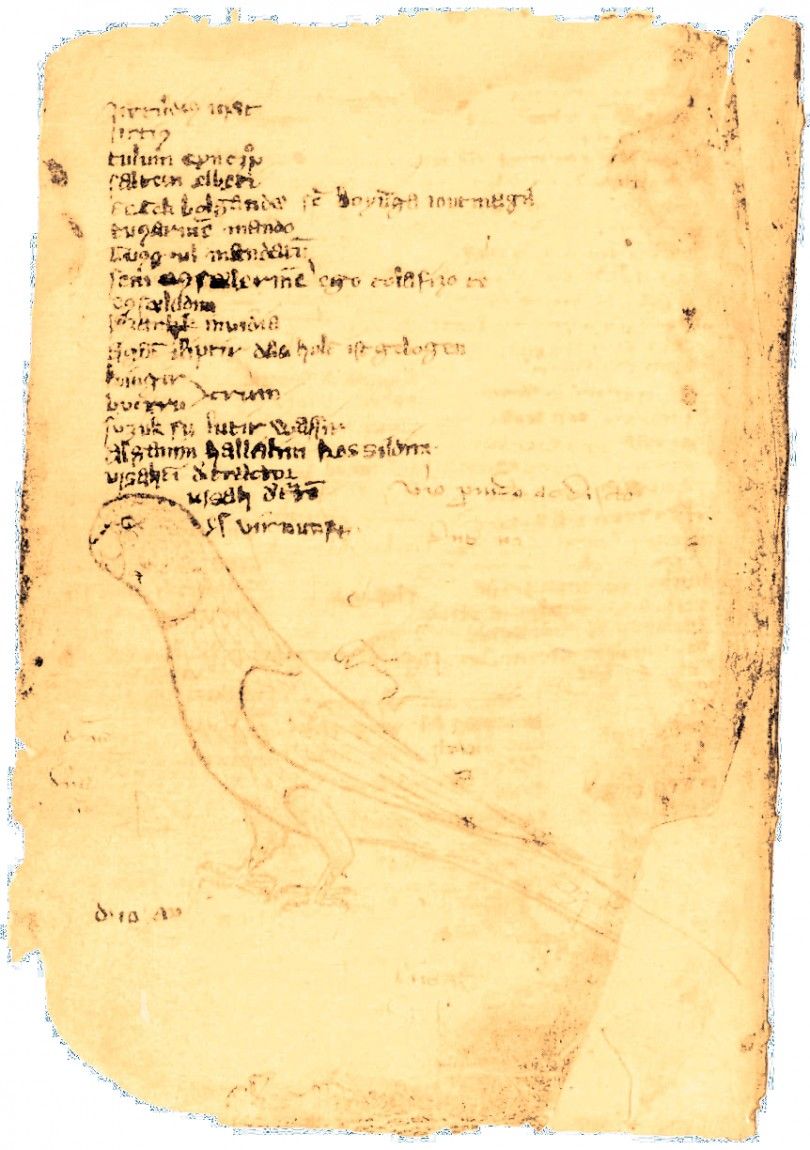 Кодекс Куманикус