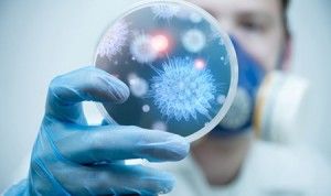 бактерия чашка петри наука