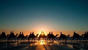 шёлковый путь