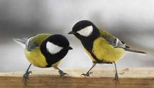 s8D_GLVsPGRp9HMZnc8QAg