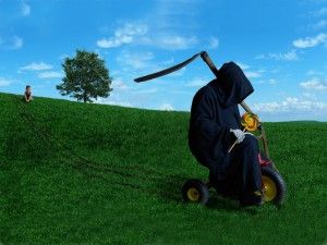 oboi-smert-s-kosoi-w1024-h800