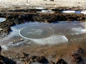 ранчо бигелоу