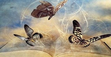 книга бабочки разум мотылёк филология