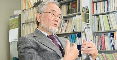 Йосинори Осуми Япония наука медицина