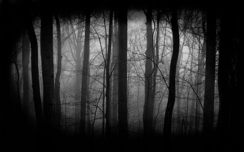 лес мрачность жуть