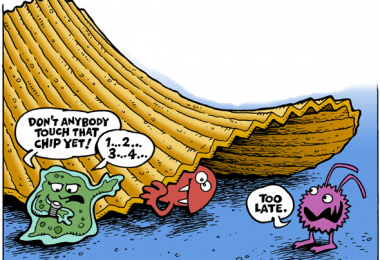 правило пяти секунд микробы бактерии еда
