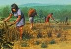 древнее земледелие история